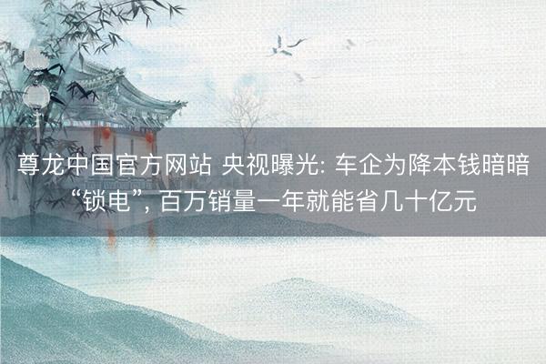 尊龙中国官方网站 央视曝光: 车企为降本钱暗暗“锁电”， 百万销量一年就能省几十亿元