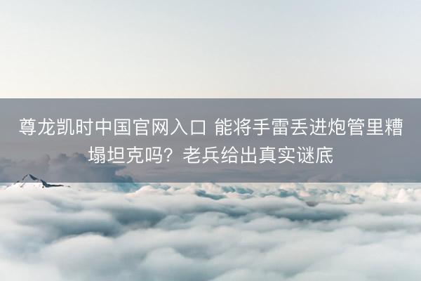 尊龙凯时中国官网入口 能将手雷丢进炮管里糟塌坦克吗？老兵给出真实谜底