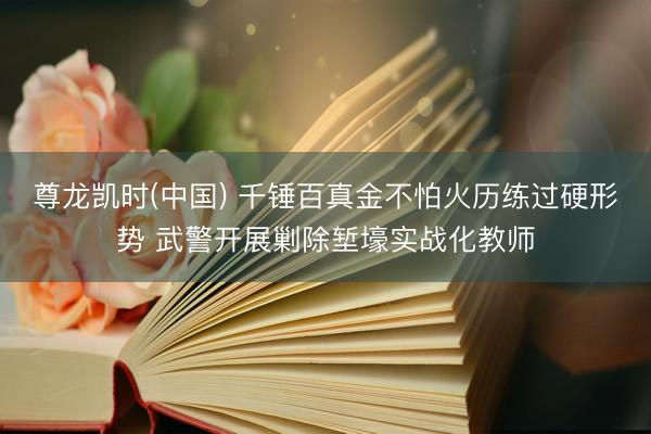 尊龙凯时(中国) 千锤百真金不怕火历练过硬形势 武警开展剿除堑壕实战化教师