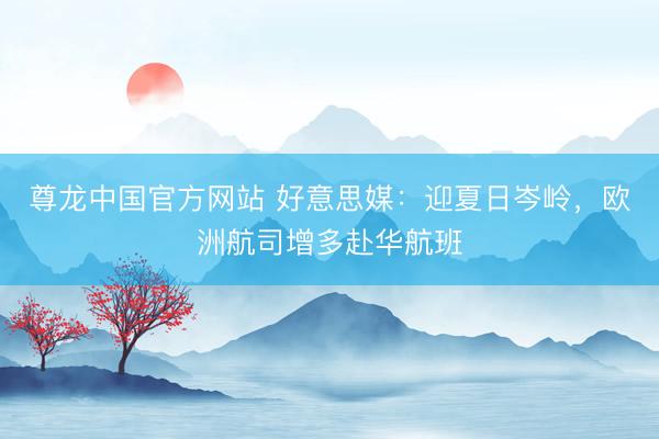 尊龙中国官方网站 好意思媒:迎夏日岑岭,欧洲航司增多赴华航班