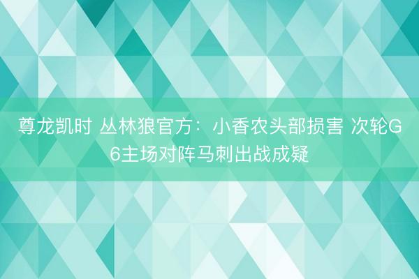 尊龙凯时 丛林狼官方：小香农头部损害 次轮G6主场对阵马刺出战成疑