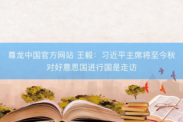 尊龙中国官方网站 王毅：习近平主席将至今秋对好意思国进行国是走访
