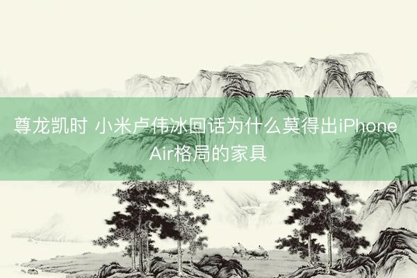 尊龙凯时 小米卢伟冰回话为什么莫得出iPhone Air格局的家具