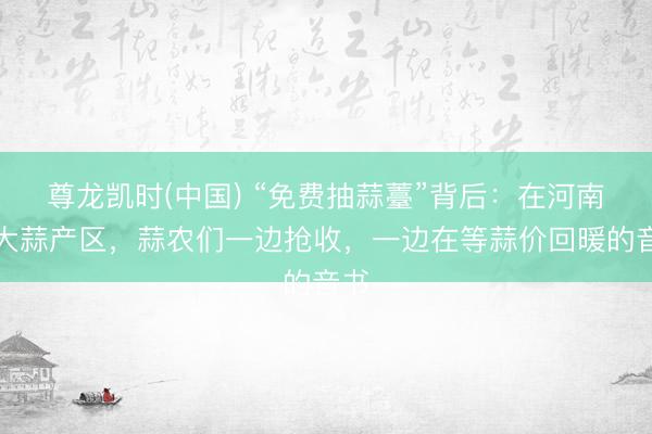 尊龙凯时(中国) “免费抽蒜薹”背后：在河南等大蒜产区，蒜农们一边抢收，一边在等蒜价回暖的音书