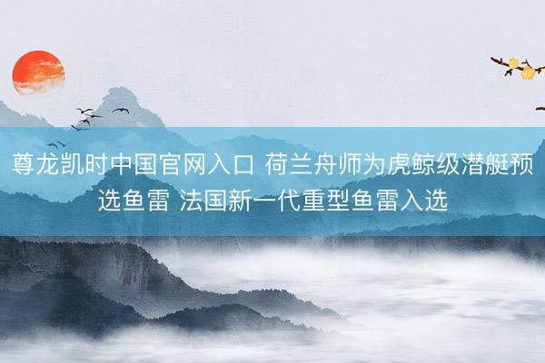 尊龙凯时中国官网入口 荷兰舟师为虎鲸级潜艇预选鱼雷 法国新一代重型鱼雷入选
