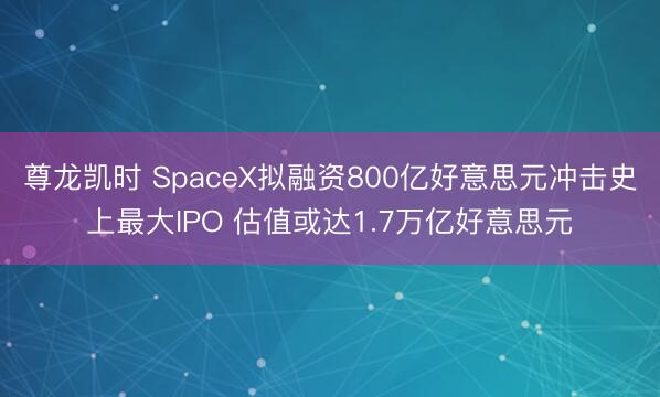 尊龙凯时 SpaceX拟融资800亿好意思元冲击史上最大IPO 估值或达1.7万亿好意思元