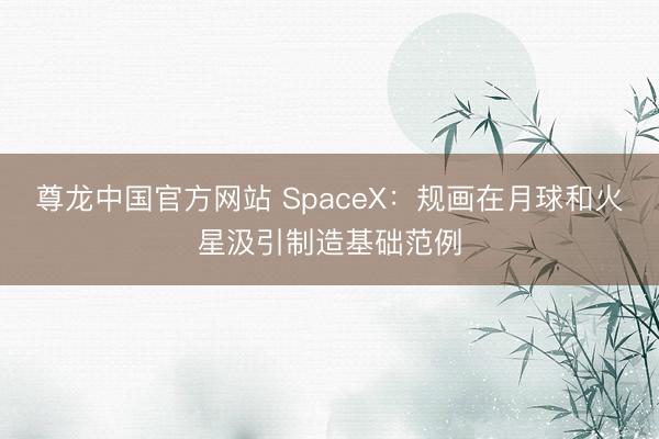 尊龙中国官方网站 SpaceX:规画在月球和火星汲引制造基础范例