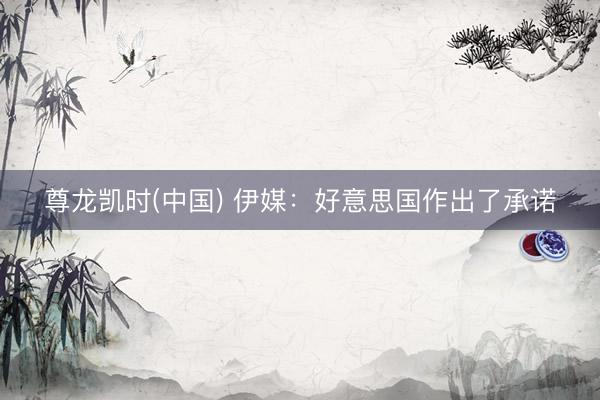 尊龙凯时(中国) 伊媒:好意思国作出了承诺