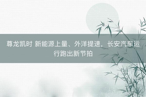 尊龙凯时 新能源上量、外洋提速，长安汽车运行跑出新节拍