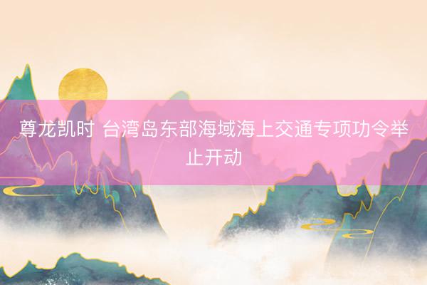 尊龙凯时 台湾岛东部海域海上交通专项功令举止开动