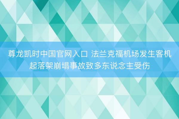 尊龙凯时中国官网入口 法兰克福机场发生客机起落架崩塌事故致多