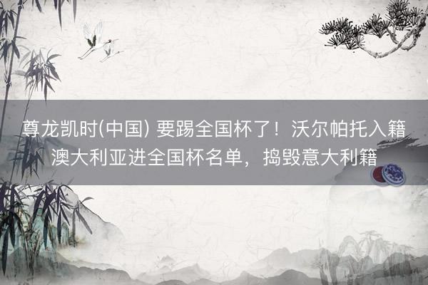尊龙凯时(中国) 要踢全国杯了！沃尔帕托入籍澳大利亚进全国杯名单，捣毁意大利籍