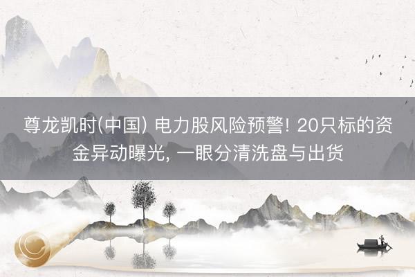 尊龙凯时(中国) 电力股风险预警! 20只标的资金异动曝光， 一眼分清洗盘与出货