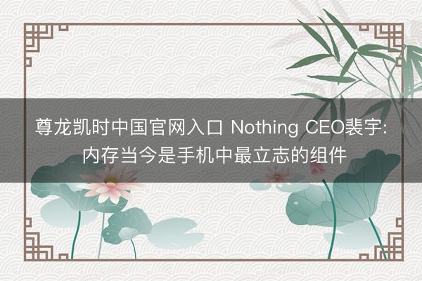 尊龙凯时中国官网入口 Nothing CEO裴宇: 内存当今是手机中最立志的组件