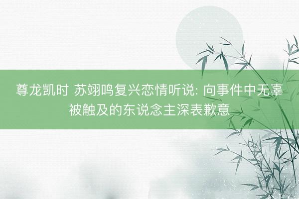 尊龙凯时 苏翊鸣复兴恋情听说: 向事件中无辜被触及的东说念主深表歉意